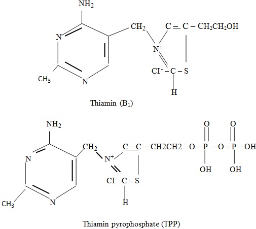 thiamin b1 and thiamin pyrophosphate(TPP